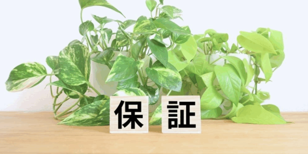 『保証』と書かれた木のブロックと観葉植物、安心感を演出するイメージ